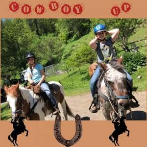 Meet your Posher, Daphne